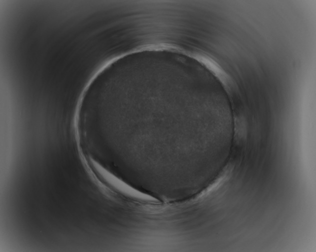 X0000092061046200710031057