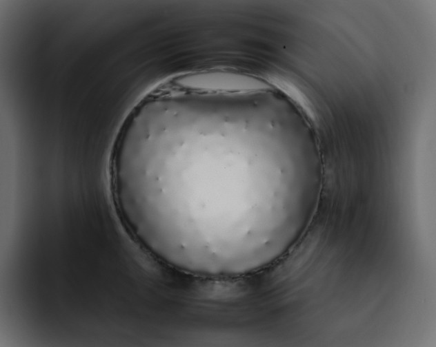 X0000092061047200710031057