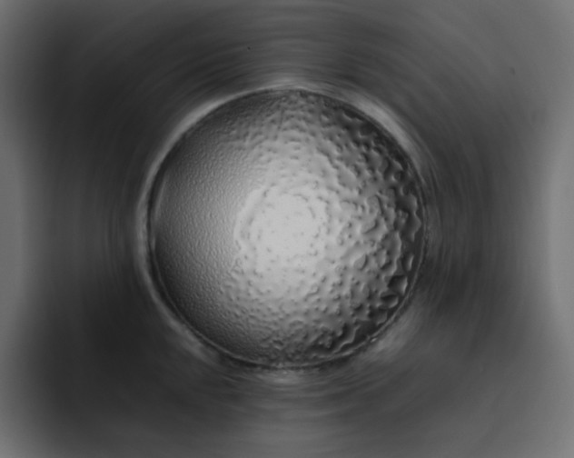 X0000092061048200710031057