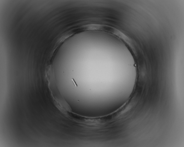 X0000092061049200710031057