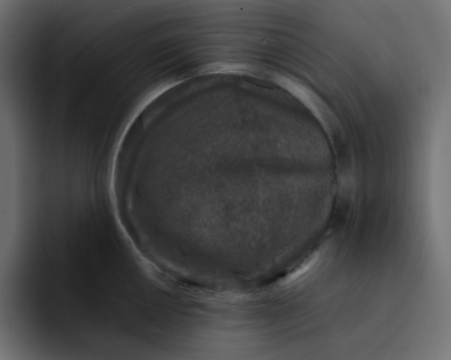 X0000092061050200710031057