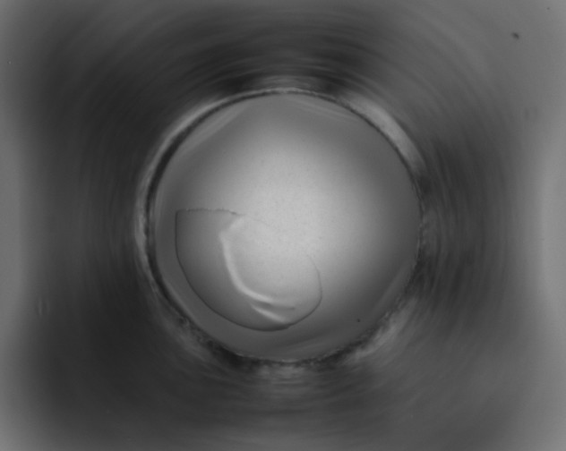 X0000092061051200710031057