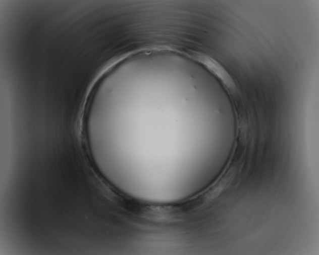 X0000092061052200710031057