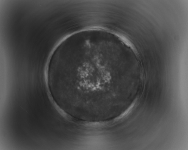 X0000092061054200710031057