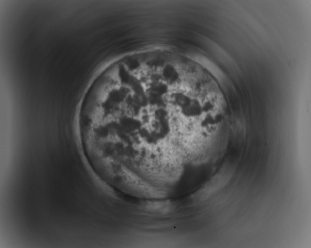 X0000092061055200710031057