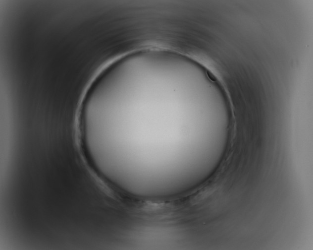 X0000092061056200710031057