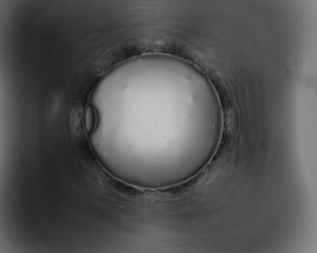 X0000092061059200710031056