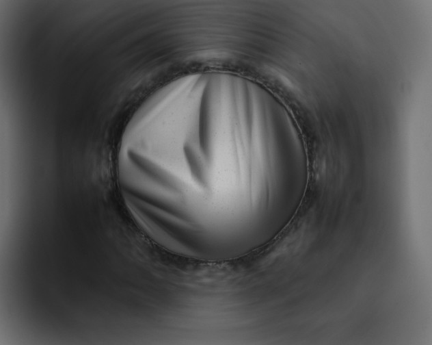 X0000092061062200710031056