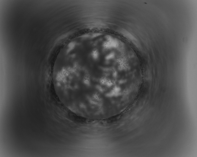 X0000092061063200710031056