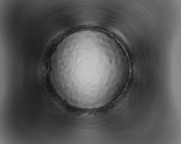 X0000092061064200710031056