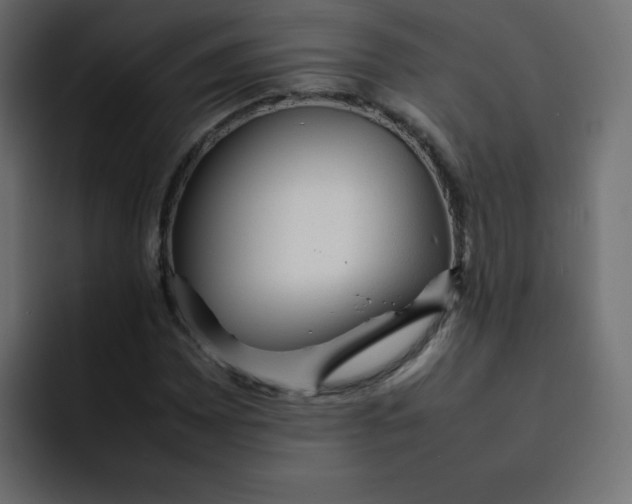 X0000092061065200710031056