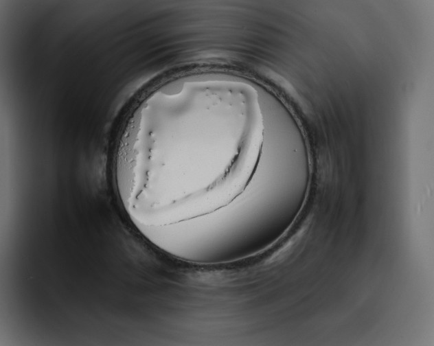 X0000092061066200710031056