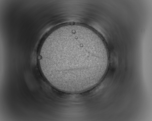 X0000092061067200710031056