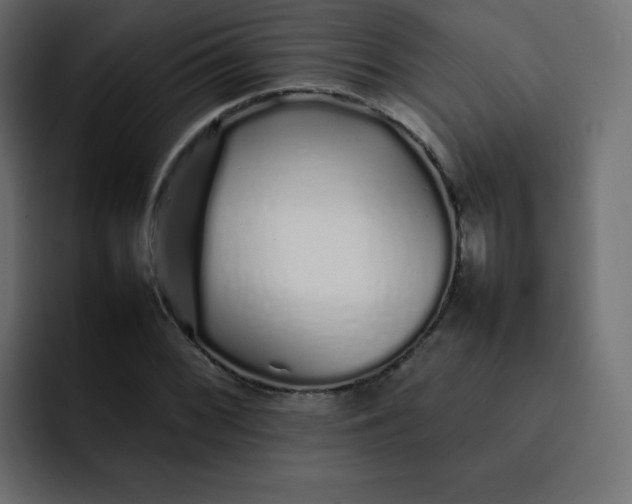 X0000092061068200710031056