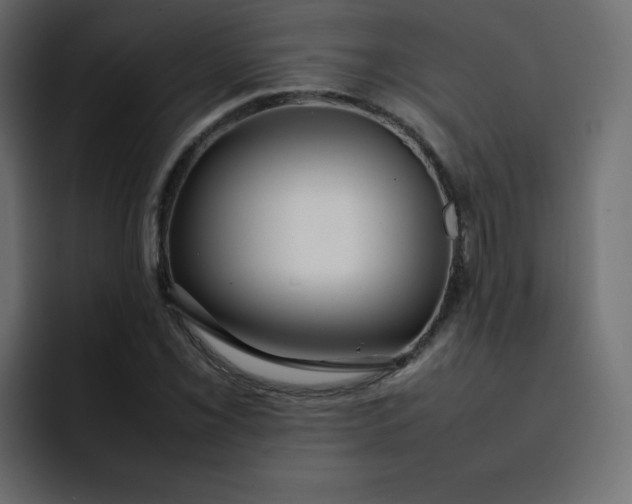 X0000092061069200710031056