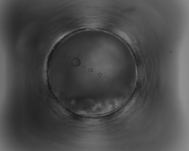 X0000092061071200710031056