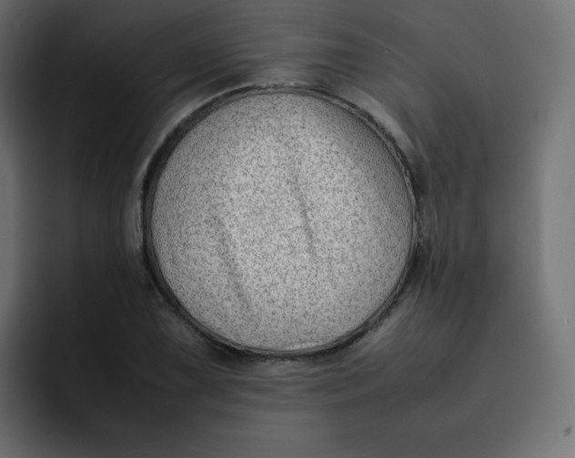 X0000092061075200710031056