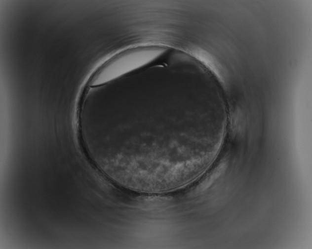 X0000092061077200710031056