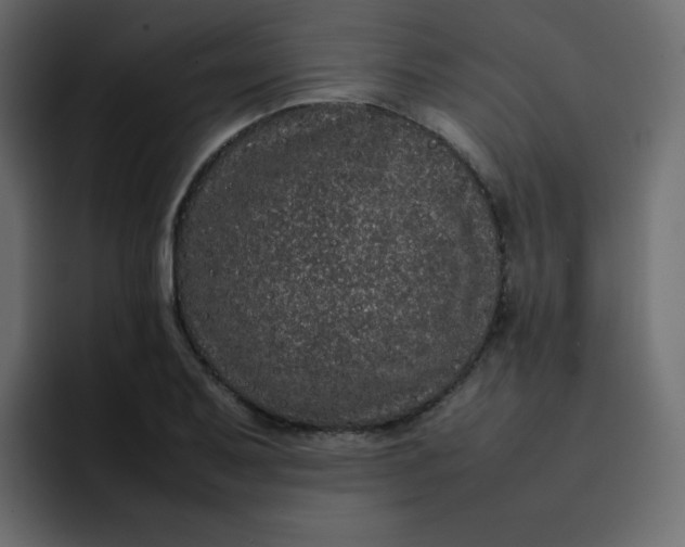 X0000092061079200710031056