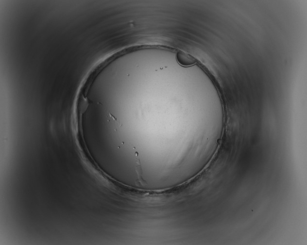 X0000092061080200710031056