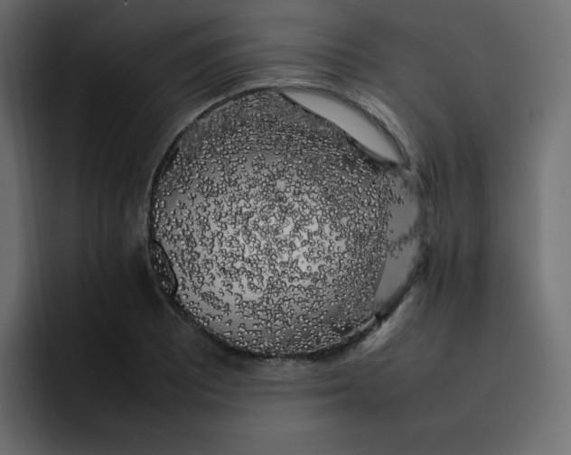 X0000092061081200710031056