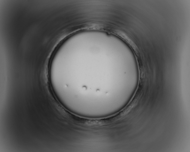 X0000092061083200710031056