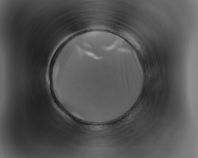 X0000092061084200710031056