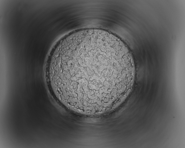 X0000092061086200710031056