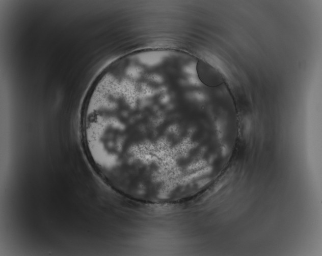 X0000092061087200710031056