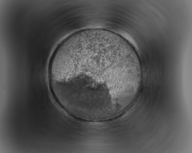 X0000092061088200710031056