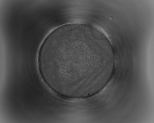 X0000092061091200710031056