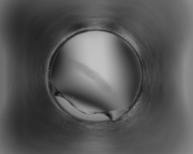 X0000092061093200710031056