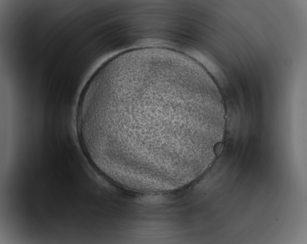 X0000092061094200710031056