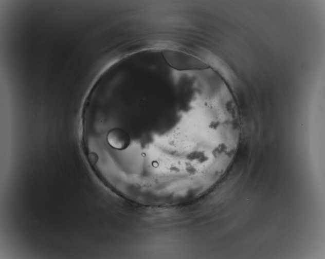 X0000092061095200710031056