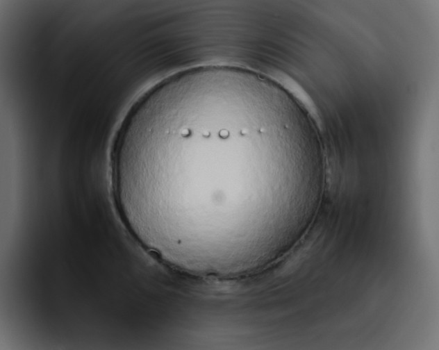 X0000092061096200710031056