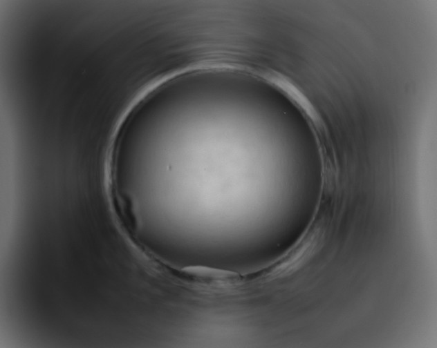 X0000092061101200710031056