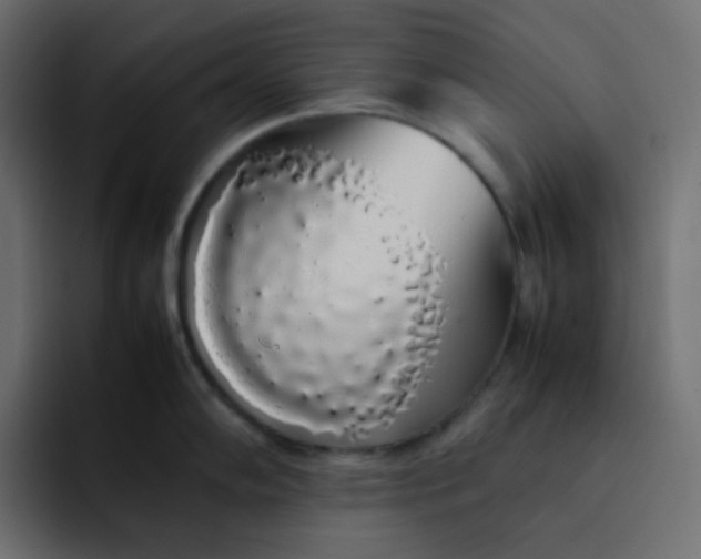 X0000092061102200710031056