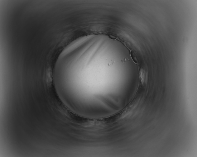 X0000092061107200710031055