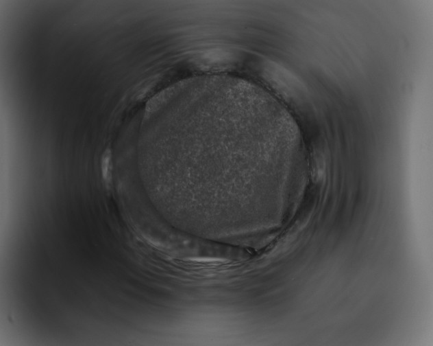 X0000092061108200710031055