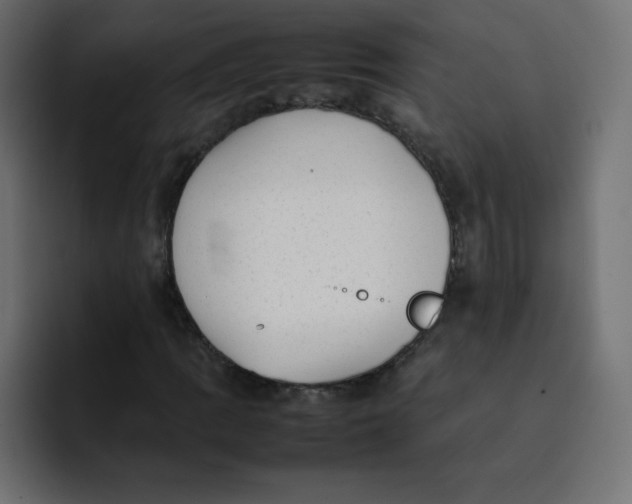 X0000092061109200710031055