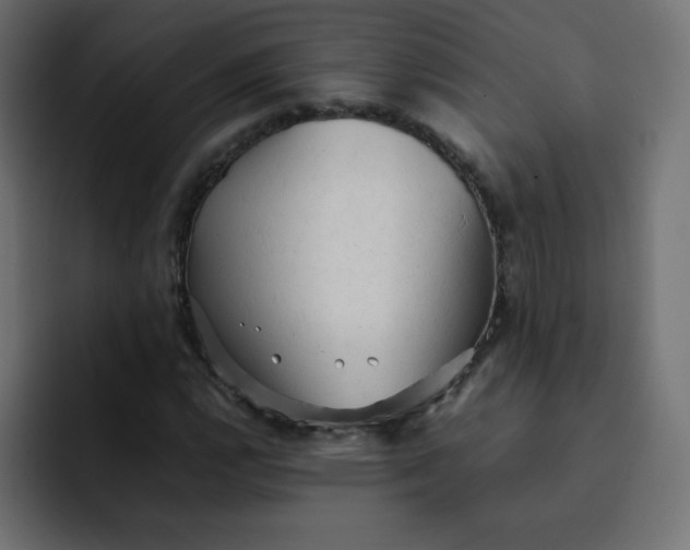 X0000092061112200710031055