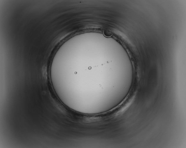 X0000092061113200710031055