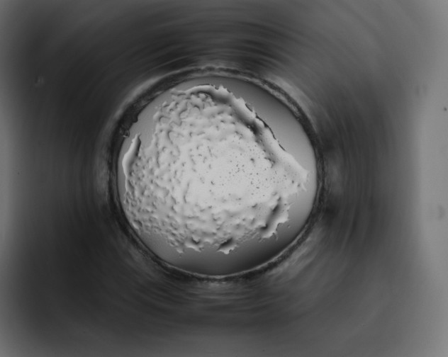 X0000092061115200710031055