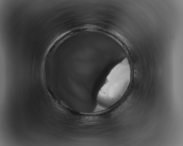 X0000092061117200710031055