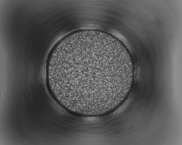 X0000092061130200710031056