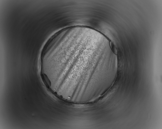 X0000092061132200710031056