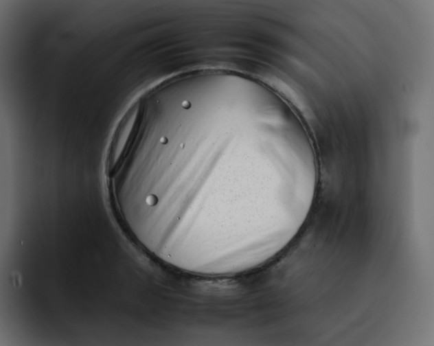 X0000092061133200710031056