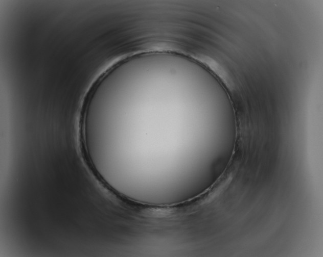 X0000092061134200710031056