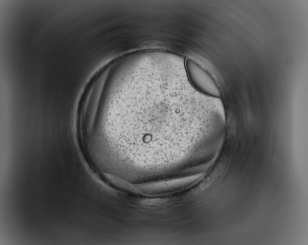 X0000092061135200710031056