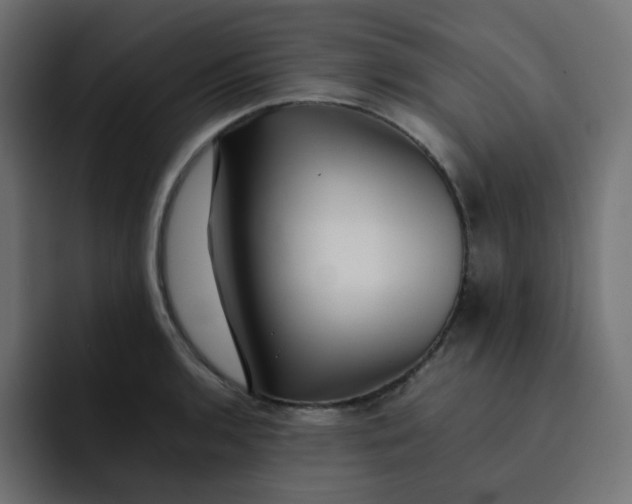 X0000092061136200710031056